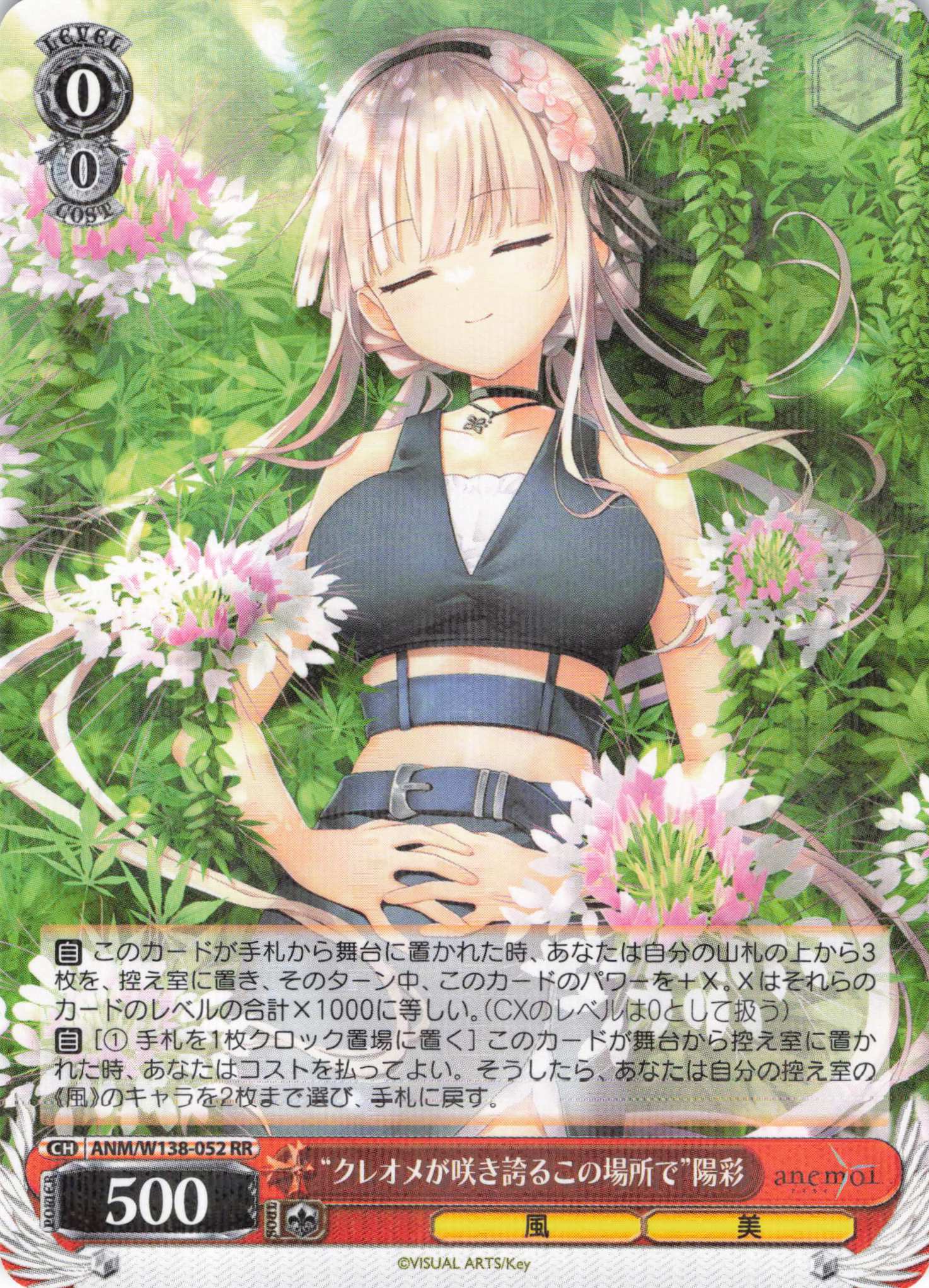 “クレオメが咲き誇るこの場所で”陽彩(RR)(ANM/W138-052)